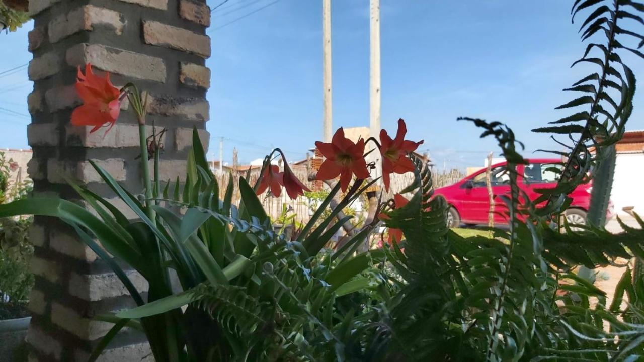 Casa De Praia Toca Da Onca 圣米格尔-杜戈斯托苏 外观 照片